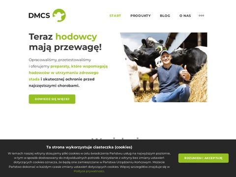 Dmcs.com.pl Mastan Forte
