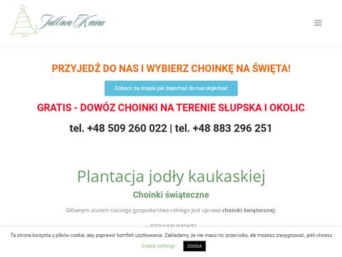 Choinki-swiateczne.pl szkółka drzew ozdobnych
