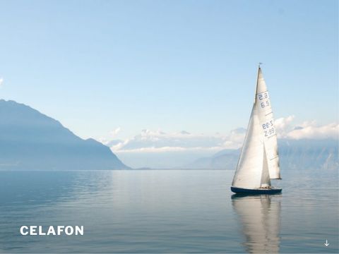 Celafon.pl amatorska drużyna jachtowa