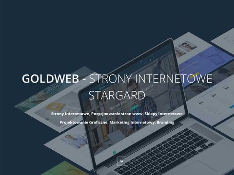 Goldweb agencja interaktywna
