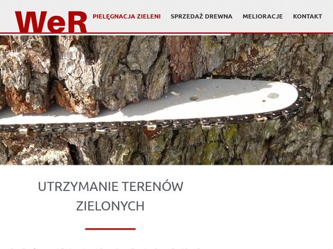 Wer-zielen.pl wycinka drzew Opole