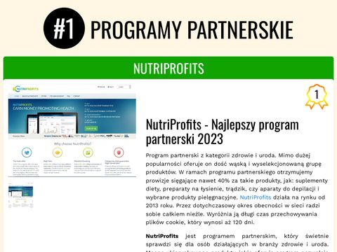 Programy-partnerskie.info