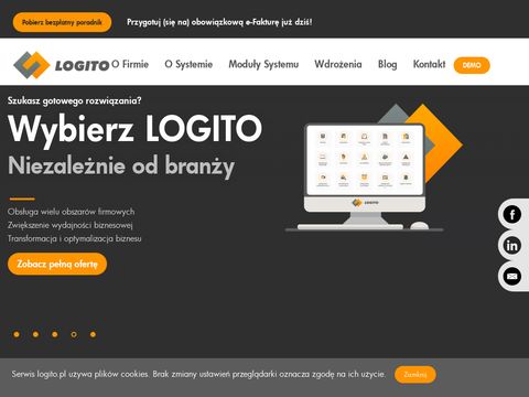 Logito.pl - system workflow